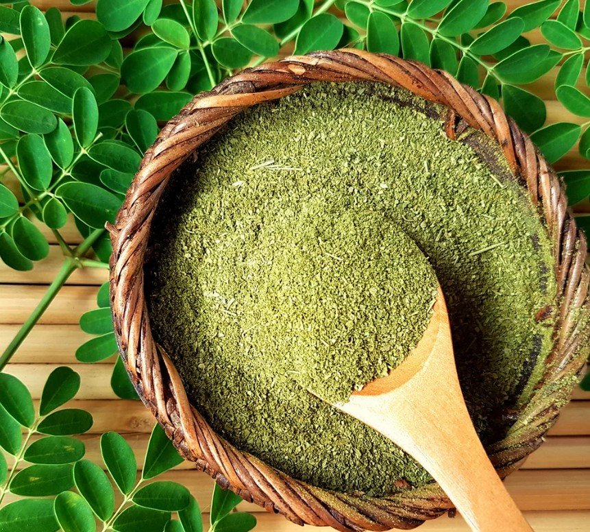 What is Moringa powder, and does it actually work